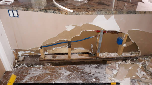 Best 24/7 water damage repair  in Ripley, TN