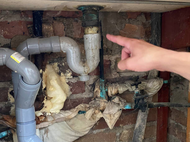 Best Water damage restoration near me  in Ripley, TN
