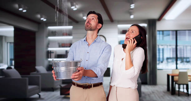 Best Local water damage restoration  in Ripley, TN